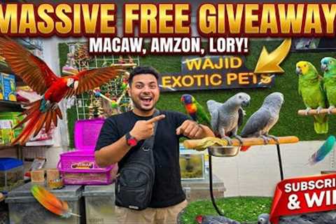 NEW STOCK ARRIVAL! 🦜 Wajid Exotic Pets Huge Update +  New  GIVEAWAY! 🔥 