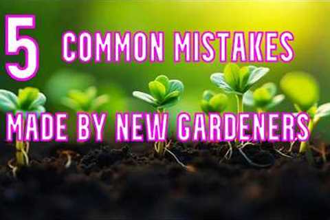 Easy Gardening For Beginners. 5 biggest mistakes made by first time gardeners .
