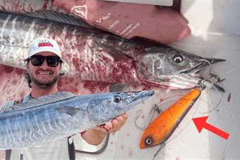 How to catch a wahoo at the Key Largo Humps {catch &amp; cook}