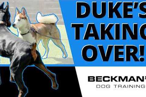 Why I Sent Duke In First Against This Dominant Husky