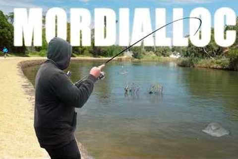 I Used to Hate Fishing Here... But I Didn't Expect to Catch This!