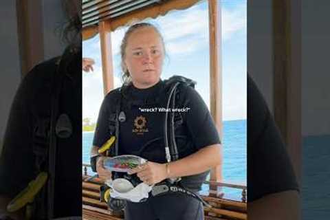 Scuba diving at the best resort in the Maldives  ￼#scubadiving #maldives ￼