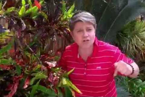 Tropical Gardening Ideas for Your Home