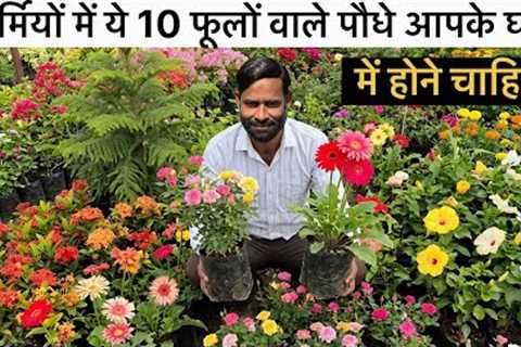 Garmiyon Mein Lagane Wale 10 Best Flower Plants Full Guide 