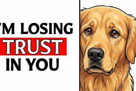 6 Daily Mistakes That Make Your Dog Lose Trust In You (STOP DOING THEM)