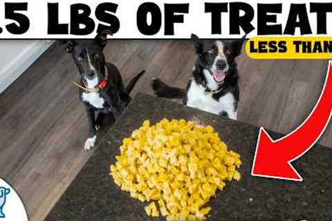 Don’t Waste Money on Dog Treats Until You Try THESE