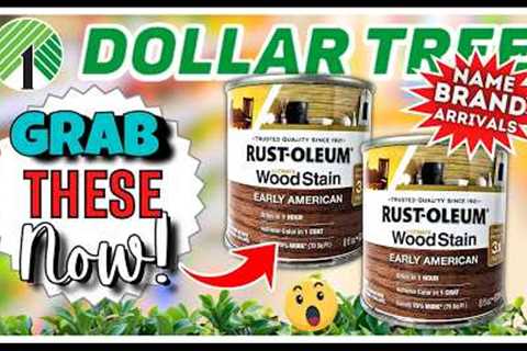 🔥 DOLLAR TREE Finds You NEED to Haul NOW! Never Seen Before Arrivals! Craft DIY, Rustoleum &amp;..