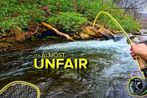 WORLD CHAMPS Fly Fish This Way for a Reason...