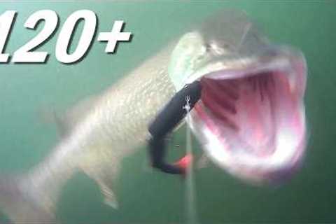 120+ cm Giant Pike Caught on Underwater Camera !