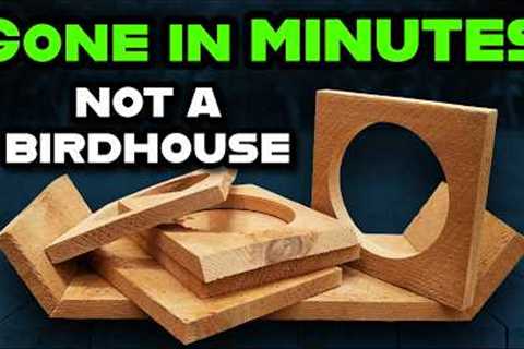EASY $100 using Beginner Tools and Cheap Lumber