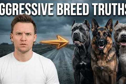 The 7 Most Aggressive Dog Breeds As A Pro Dog Trainer