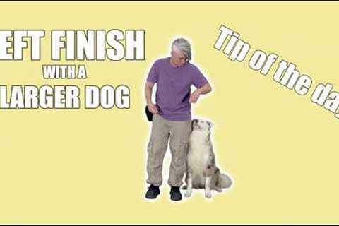 Dog Training Tip of the Day - LEFT FINISH for LARGER dogs