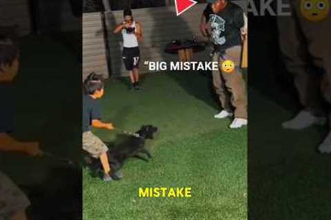 Puppy Protection Training Goes WRONG 😳🐶#usa #dog #trending