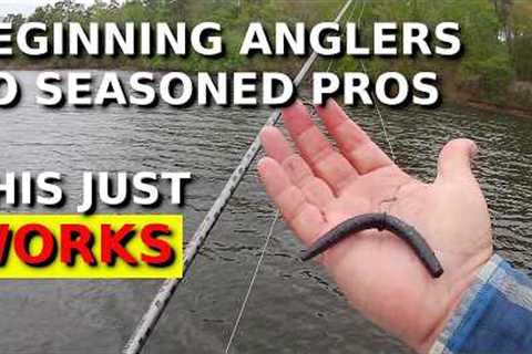 Wacky Rig Tricks That Work For ANYONE!!!!! (Catch TONS Of Fish!!!!)