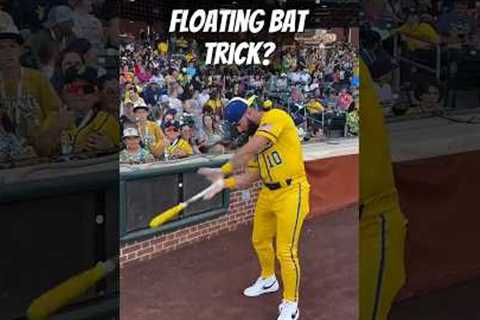 The Savannah Banana #Baseball Bat Trick You're Going to Try Tomorrow