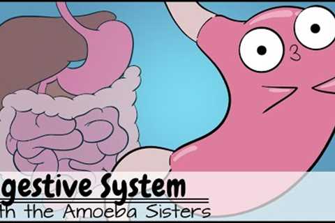 Digestive System