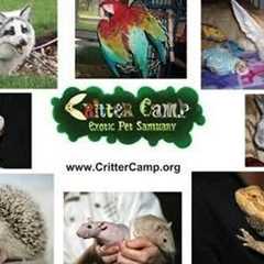 5 Exotic Facts About 5 Exotic Pets