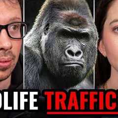 Inside the Illegal Wildlife Trade — A Crime You Never See