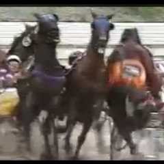 Harness Racing Accident,Bulli Paceway-21/01/1991 (Bright Flyer-G.V.Frost)