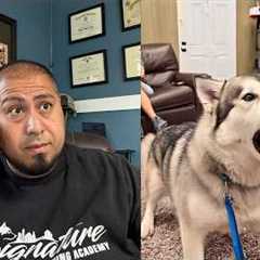 “They Were Told to Avoid the Problem… I Tested It Instead | The Kalani Project.”