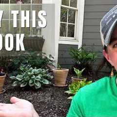 Simple Shade Garden Ideas (Containers, Color & Care!)