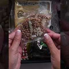 Sakuraco Snack Subscription Unboxing #japanesefood #japanesesnackbox #subscription #unboxing