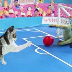 Funny Cat Playing Football - Kitten Play