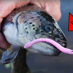 How To Fish Plastic PINK WORMS To Catch Trout! (EASY & EFFECTIVE!!)