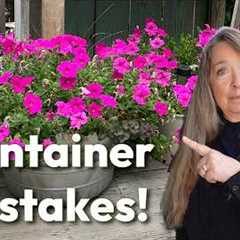 10 Container Gardening Mistakes to Avoid!