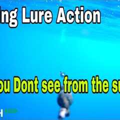 Trolling the Go Fish Camera and A big CowBell lure offshore fishing Tackle testing most satisfying