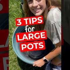 3 tips for planting large pots #greenthumb #planthack #pottedplants #plantlover  #planttherapy