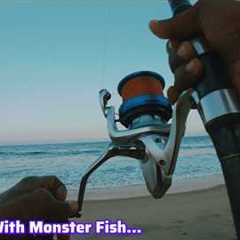 Bait Fishing For Monster Fish #fishing #fishingvideo #camping #fish #ocean #beach #catch