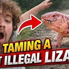 Training my GIANT LIZARD!! 