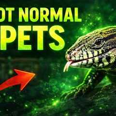 REPTIWORLD | The Truth About Exotic Pets…