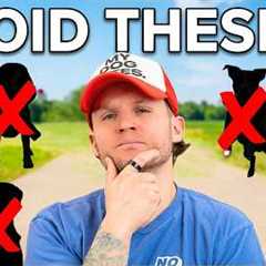 The 5 Dog Breeds That Will Humble You Fast