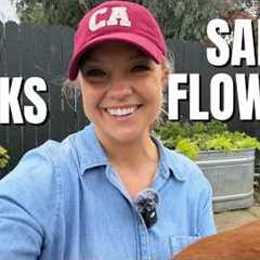 Same Recipe, Different Placement (Container Gardening Ideas!)