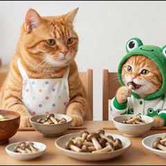 Ginger Kitten And Mama Cat Pick Mushrooms After The Rain And Lead A Lost Panda Back To Its Mom 🐱💖