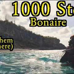 Bonaire's 1000 Steps Dive Site: Is It Worth Seeing?