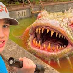 I Found Deadly Fish in an Abandoned Pool…