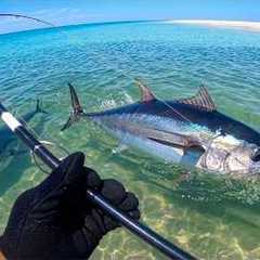 Giant Tuna from the SAND! (Catch & Cook)