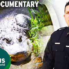 Unbelievable Public Tragedies With Wild Animals & Exotic Pets | Full Documentary | Predator Pets