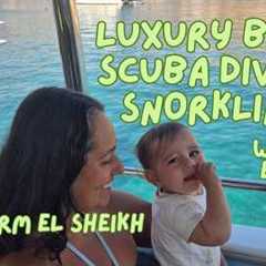 Scuba Diving for Beginners + Boat Day Trip in Sharm El Sheikh  WHAT TO EXPECT