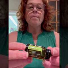 Making a natural insect repellent