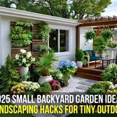 2025 Small Backyard Garden Ideas: 10 Lush Landscaping Hacks for Tiny Outdoor Spaces