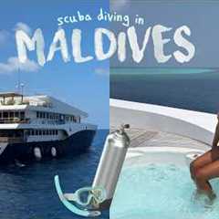 luxury scuba dive trip in Maldives | Scuba Spa