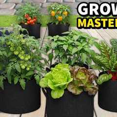 Gardening In GROW BAGS Is So EASY It's Like Cheating!