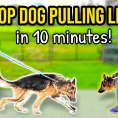 HOW TO STOP DOG PULLING ON LEASH - 10 minutes to Perfect Walk Guaranteed!