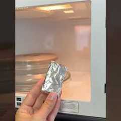 DIY Natural Bug Repellent – No More Flies, Roaches, or Mosquitoes! 🌿☕