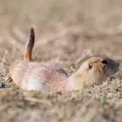 Relaxing Music for Deep Sleep 🌙 | Reduce Stress & Anxiety | Meditation Music