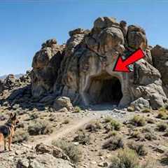 My Stepmother Thought I Lost Everything — But My Dog Led Me to the Hidden Secret Below